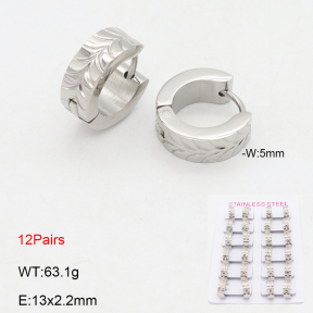 2E2006588akja-387  Stainless Steel Earrings