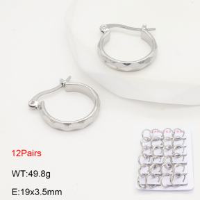 2E2006590akia-387  Stainless Steel Earrings