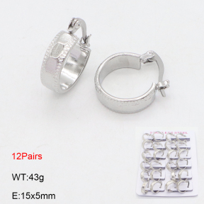 2E2006591akia-387  Stainless Steel Earrings