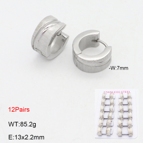 2E2006593akoa-387  Stainless Steel Earrings