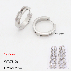 2E2006596amaa-387  Stainless Steel Earrings