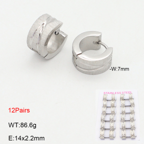 2E2006597akoa-387  Stainless Steel Earrings