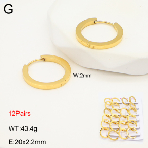 2E2006599akoa-387  Stainless Steel Earrings