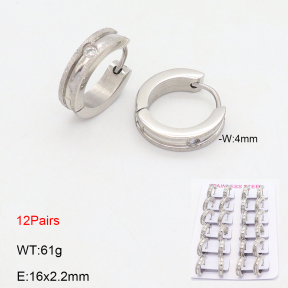 2E4004813alka-387  Stainless Steel Earrings