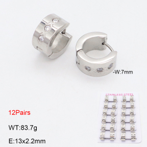 2E4004814amaa-387  Stainless Steel Earrings