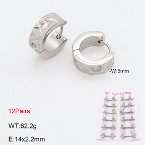 2E4004815amaa-387  Stainless Steel Earrings