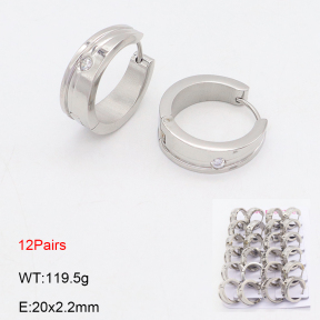 2E4004816bnob-387  Stainless Steel Earrings