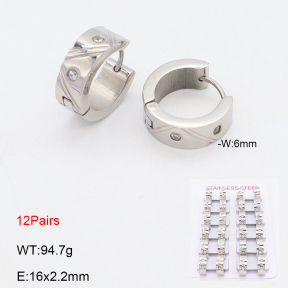 2E4004818amaa-387  Stainless Steel Earrings