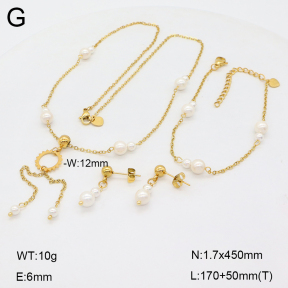 2S0012821vhov-350  Stainless Steel Set