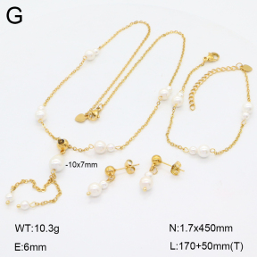 2S0012823vhov-350  Stainless Steel Set