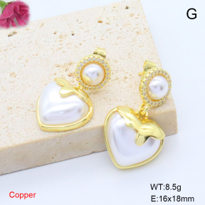 F6E302129vbnb-L017  Fashion Copper Earrings