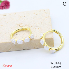 F6E302130ablb-L017  Fashion Copper Earrings