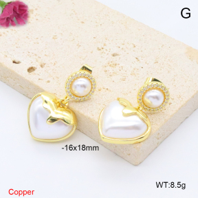 F6E302131vbnb-L017  Fashion Copper Earrings