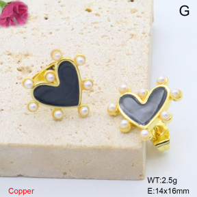 F6E302140ablb-L017  Fashion Copper Earrings