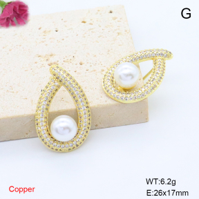 F6E405825bbov-L017  Fashion Copper Earrings