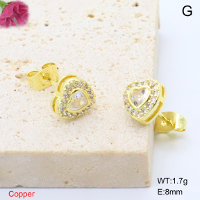 F6E405847ablb-L017  Fashion Copper Earrings