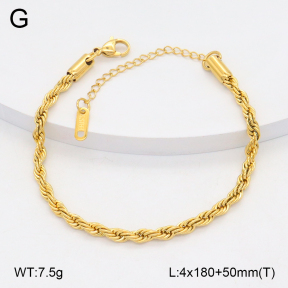 2B2004933aako-419  Stainless Steel Bracelet