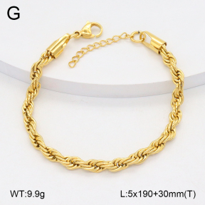 2B2004934vbnb-419  Stainless Steel Bracelet