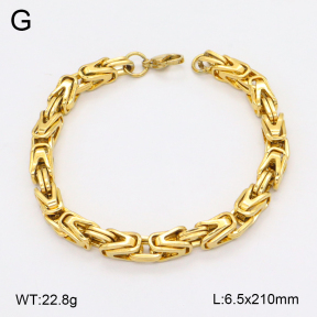 2B2004936vhhl-419  Stainless Steel Bracelet