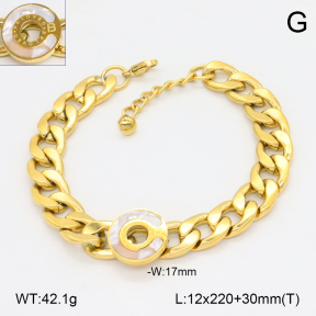 2B3004362vhhl-419  Stainless Steel Bracelet