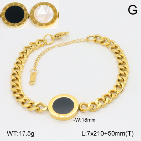 2B4005493vhhl-419  Stainless Steel Bracelet