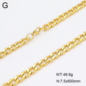 2N2007565vbpb-419  Stainless Steel Necklace