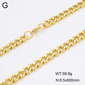 2N2007567bvpl-419  Stainless Steel Necklace