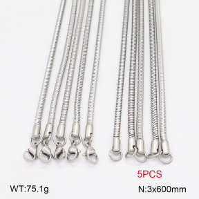 2N2007645aiil-419  Stainless Steel Necklace