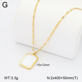 2N3003143baka-771  Stainless Steel Necklace