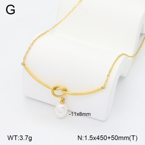 2N3003144abmm-771  Stainless Steel Necklace