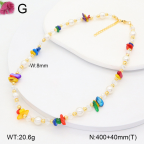 F2N300372vbnl-J193  Fashion Necklace