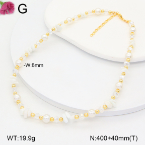F2N300373vbnl-J193  Fashion Necklace