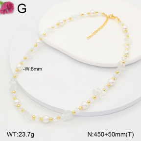 F2N300374vbnl-J193  Fashion Necklace