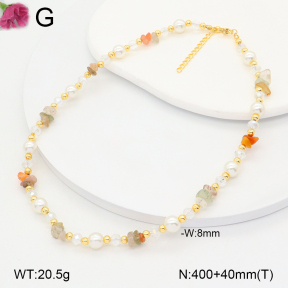 F2N300375vbnl-J193  Fashion Necklace