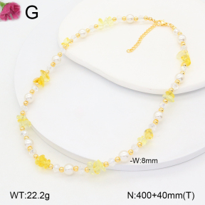 F2N300376vbnl-J193  Fashion Necklace