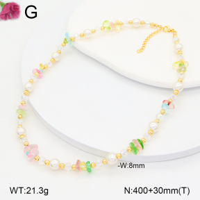 F2N300377vbnl-J193  Fashion Necklace