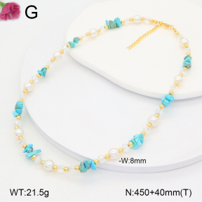 F2N300378vbnl-J193  Fashion Necklace