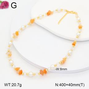 F2N300379vbnl-J193  Fashion Necklace