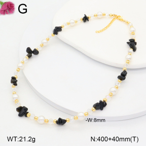 F2N300381vbnl-J193  Fashion Necklace