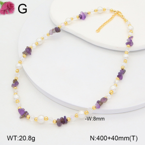 F2N300382vbnl-J193  Fashion Necklace