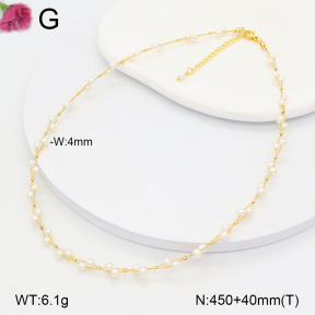 F2N300384vbnl-J193  Fashion Necklace