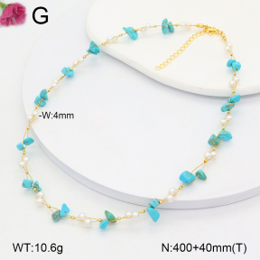 F2N300385vbnl-J193  Fashion Necklace