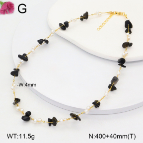 F2N300388vbnl-J193  Fashion Necklace