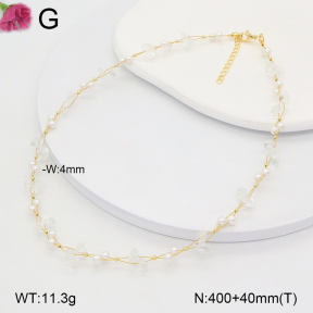 F2N300389vbnl-J193  Fashion Necklace