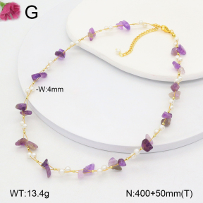 F2N300390vbnl-J193  Fashion Necklace