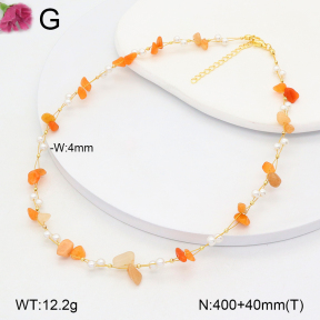 F2N300392vbnl-J193  Fashion Necklace
