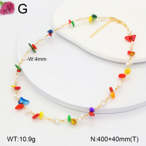 F2N300393vbnl-J193  Fashion Necklace