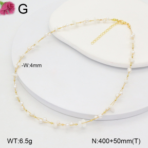 F2N300394vbnl-J193  Fashion Necklace