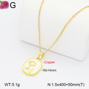 F2N300403aakl-J195  Fashion Necklace
