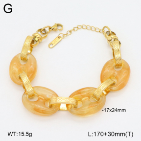 2B3004382vbnl-434  Stainless Steel Bracelet